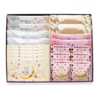 洋菓子詰合せ(木の実4個・船出2個・天使2個・サブレ5個・ピュアチョコ6個)