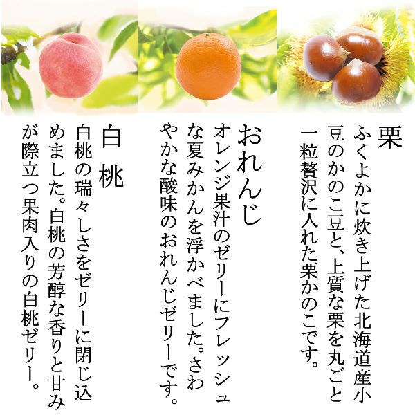 ゼリー／涼菓詰合せ（水羊羹10・和洋菓子）