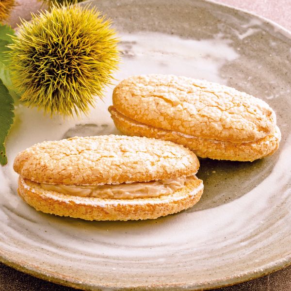 天使のささやき(マロン)／マロンフェアギフト［E］