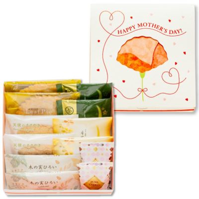 母の日ギフト(カーネーションBOX)【4/16～5/11発送限定】